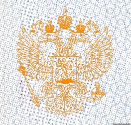 Защита диплома техникума Россия